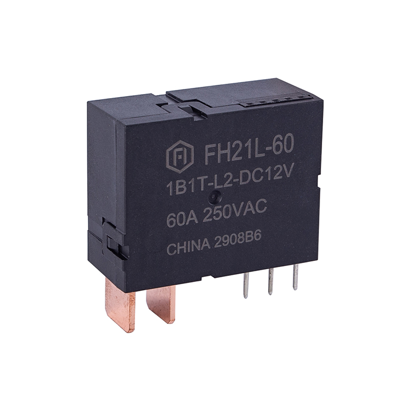 FH21L-60 Geganti Melekat Mematuhi IEC62055-31 UC1